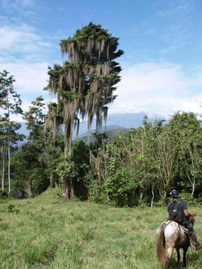 Hacienda Monteclaro Hotel Туриалба Екстериор снимка